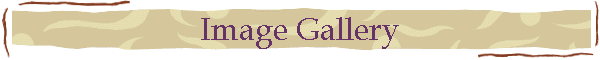 Image Gallery