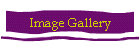 Image Gallery