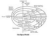 Spiral Model.JPG